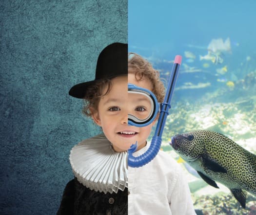 Featured image for “Koepel van Attracties & Musea”